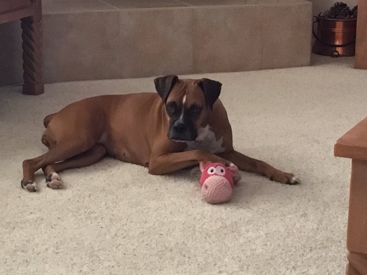 Queen Ruby Mae tweet media