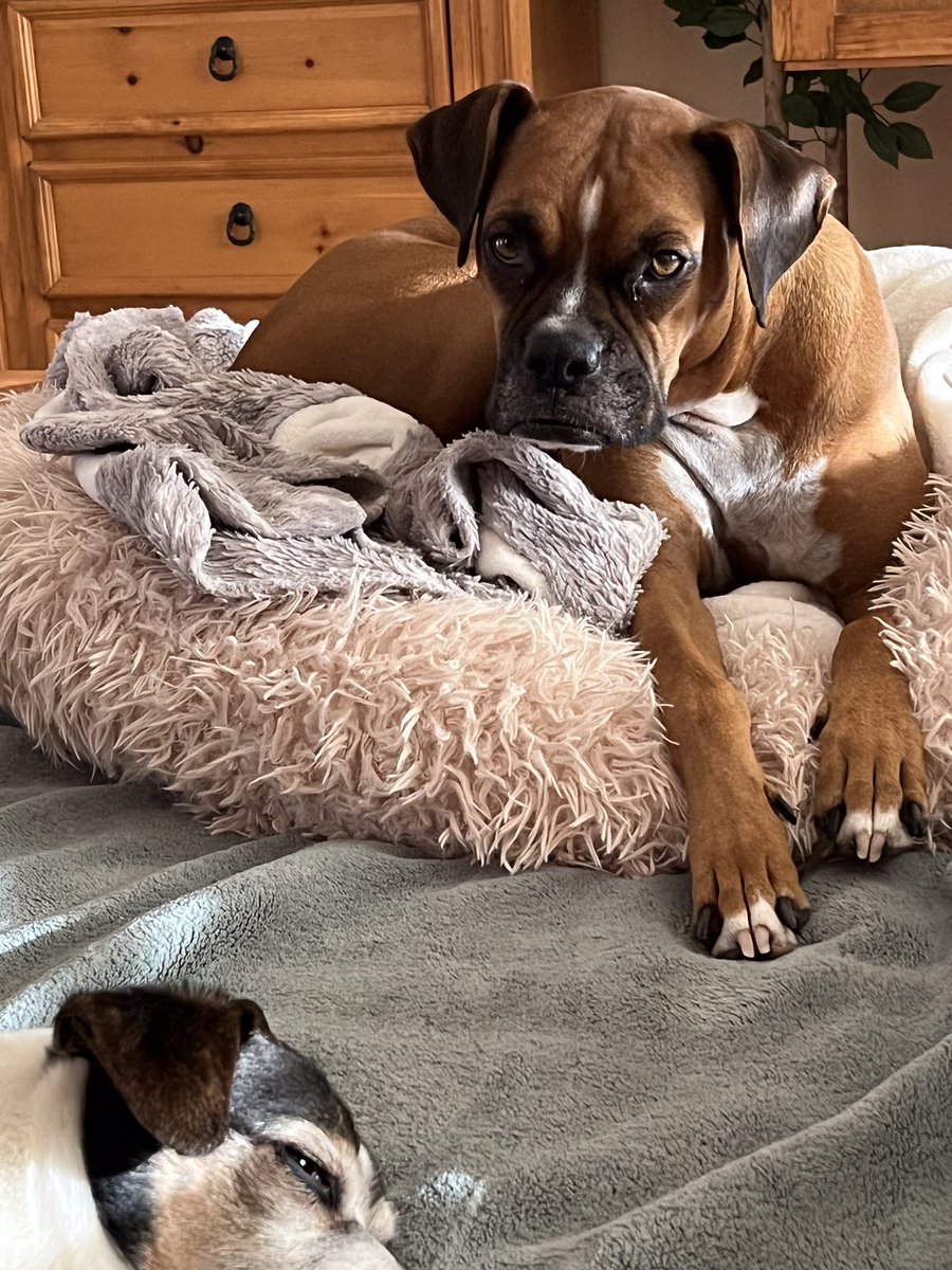 Queen Ruby Mae tweet media