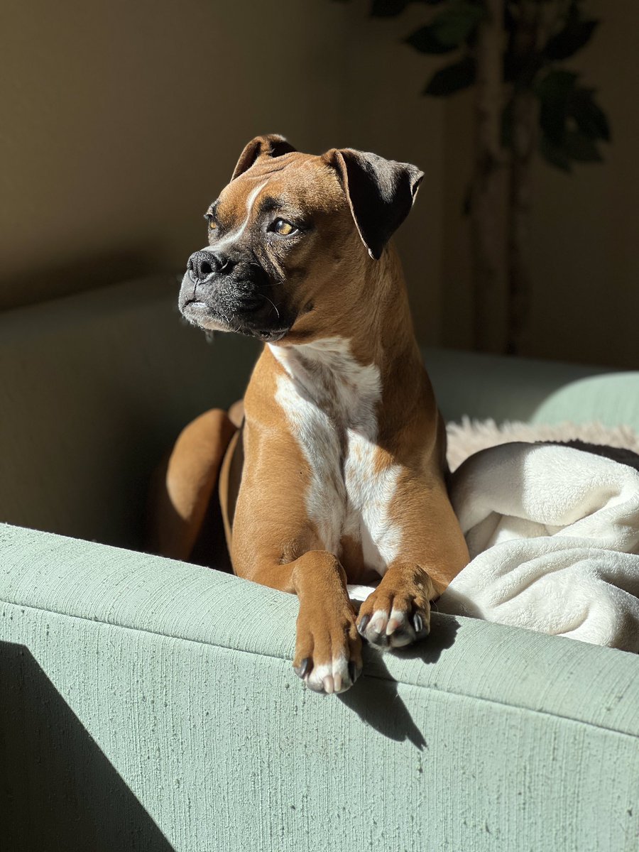 Queen Ruby Mae tweet media