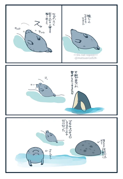 鴨川シーワールドのアズァラスィ(アザラシ)