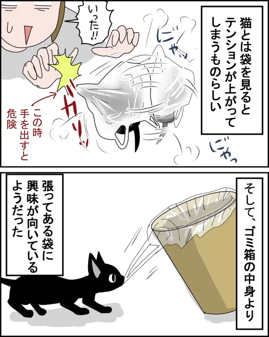 第22話【猫飼い1年生】

飼い始めて3日目に浮上したゴミ箱問題②

#漫画が読めるハッシュタグ #猫 #コミックエッセイ 