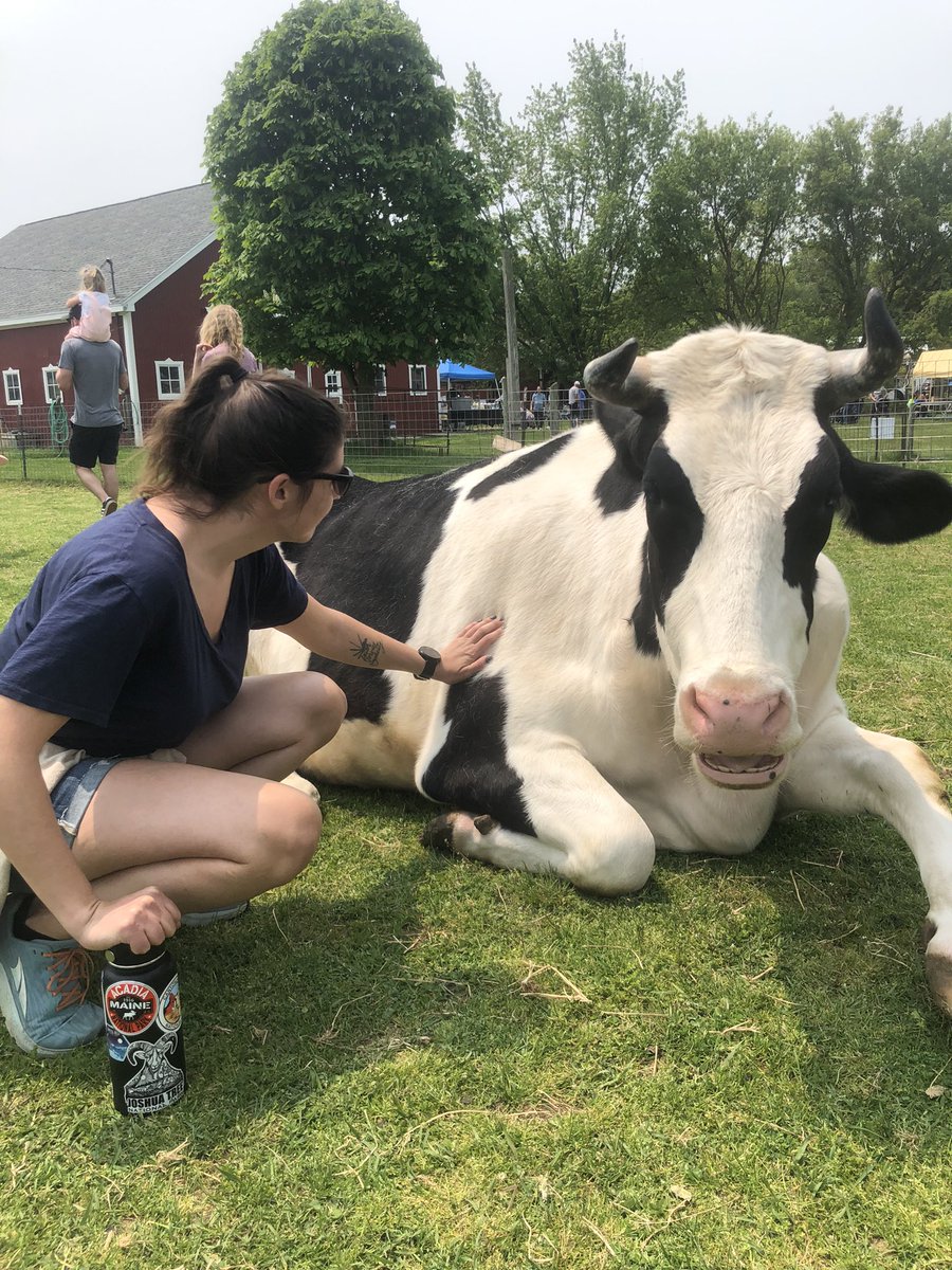 Dayton Martindale tweet media