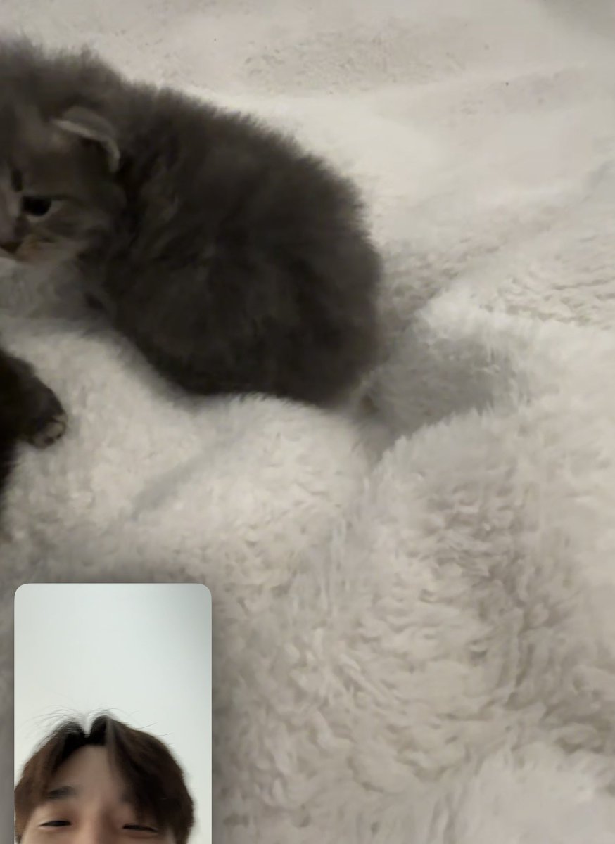 eaJPark's tweet photo. our first facetime https://t.co/rzyebgPX5J
