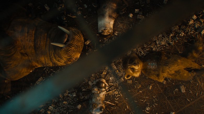 MrNiceGuy513's tweet photo. “Don’t cry, it’s just a movie” The Movie: https://t.co/0SgwyYa61r