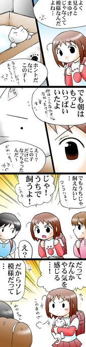 (2/4)