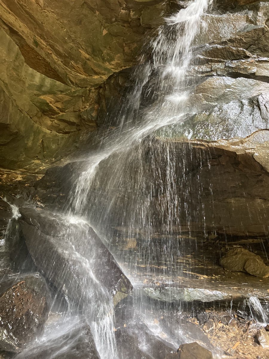 Chris Wagner tweet media