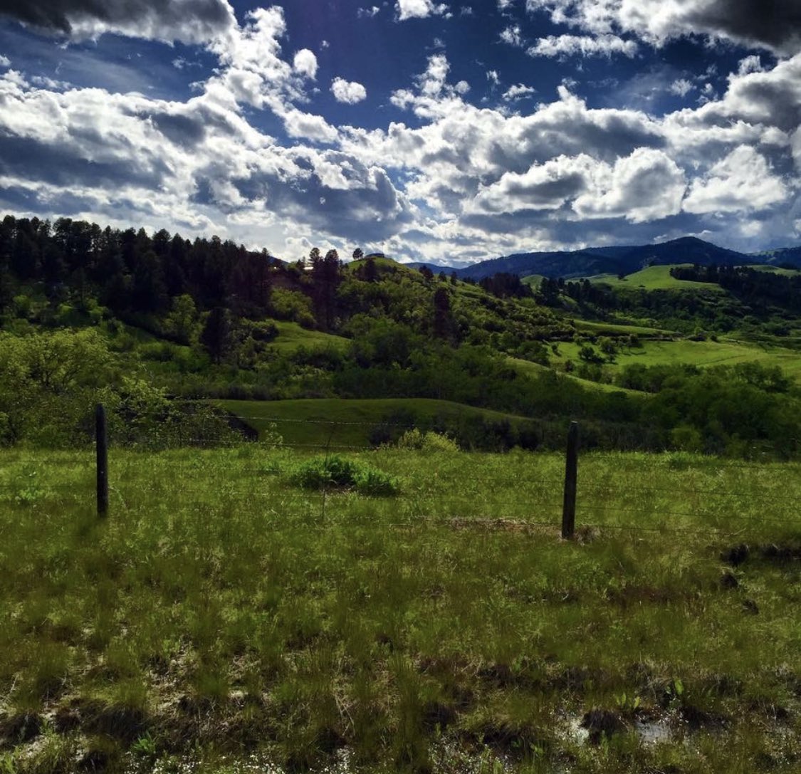 I miss seeing  the whole sky ⛰️ #Wyoming #bigskycountry