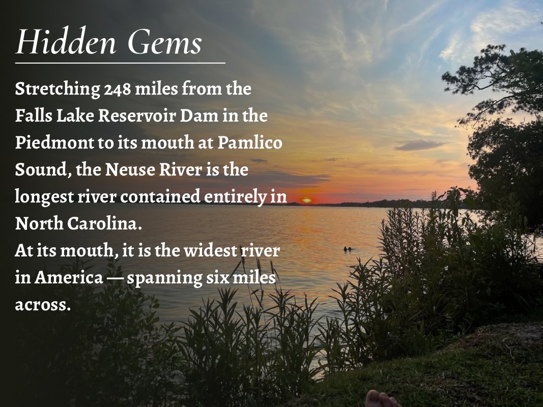 widest mouthed river in America #neuseriver 😎