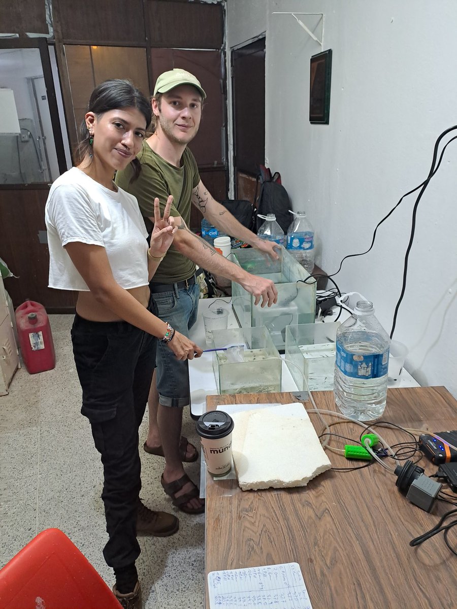 CollectiveBRL's tweet photo. We’re back again in beautiful Teapa, #Mexico trying to uncover the mysteries of the collective waves of the sulfur fishes — together with teams from @michitobler lab and @DACBiolUJAT. So many great minds for studying these great fishes! https://t.co/fepxE7qWcr