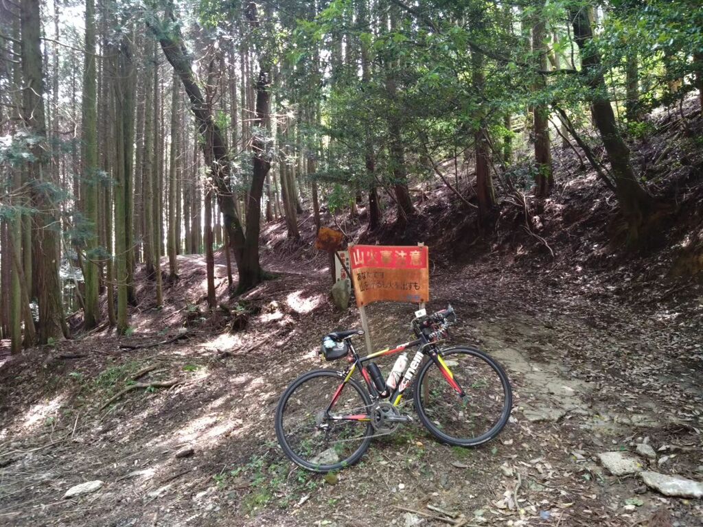 T3tryt's tweet photo. 才の神峠にはキツツキのドラミングが鳴り響いていました。
#cinelli #roadbike #チネリ #cinellistratofaster #roadbike https://t.co/hvLnG3iV9I https://t.co/XN3HFRtZlM