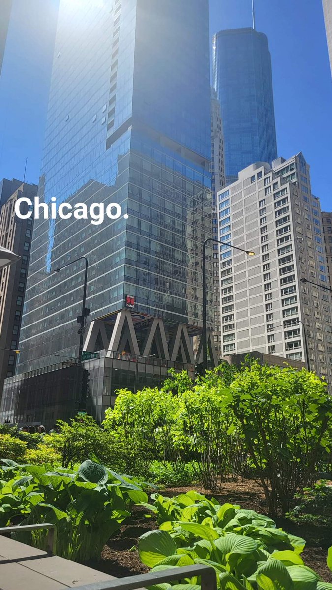 ImCool_likeDat's tweet image. Springtime Chi.