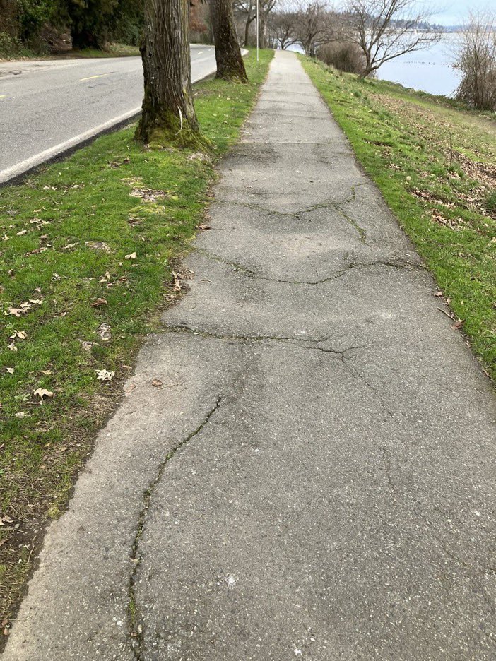 SNGreenways's tweet photo. The path next to Lake Washington Boulevard, where it exists, is broken up and not accessible. Dedicating even half the street as a safe place for people🚶🏻♀️👩🏾🦽👩🏼🦼would create access for all. #AccessibleLWB https://t.co/IKfhKTVX56