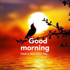 Suresh Mondal tweet media