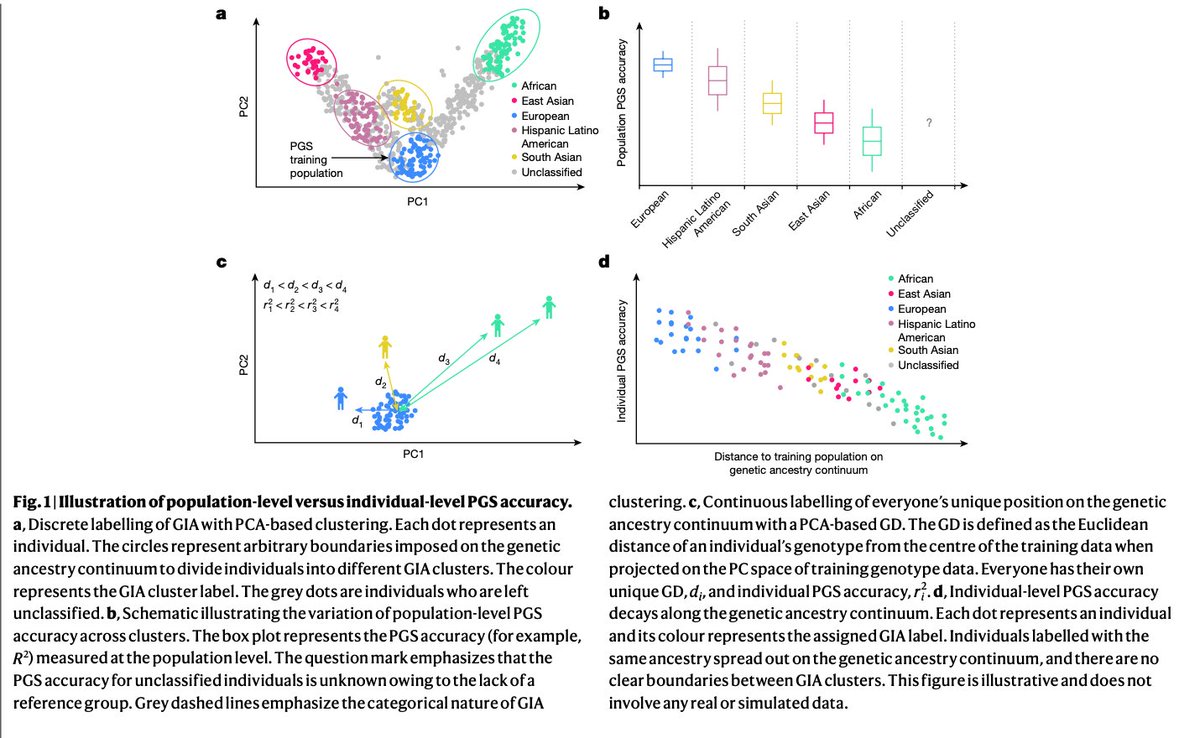 BioDecoded's tweet photo. Polygenic scoring accuracy varies across the genetic ancestry continuum | Nature
https://t.co/357XYLMmeG

#PolygenicScore https://t.co/rBMRTsQk5U