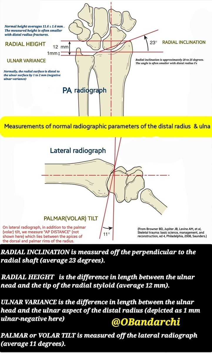 Dr.OMID BANDARCHI ,M.D. on Twitter: 