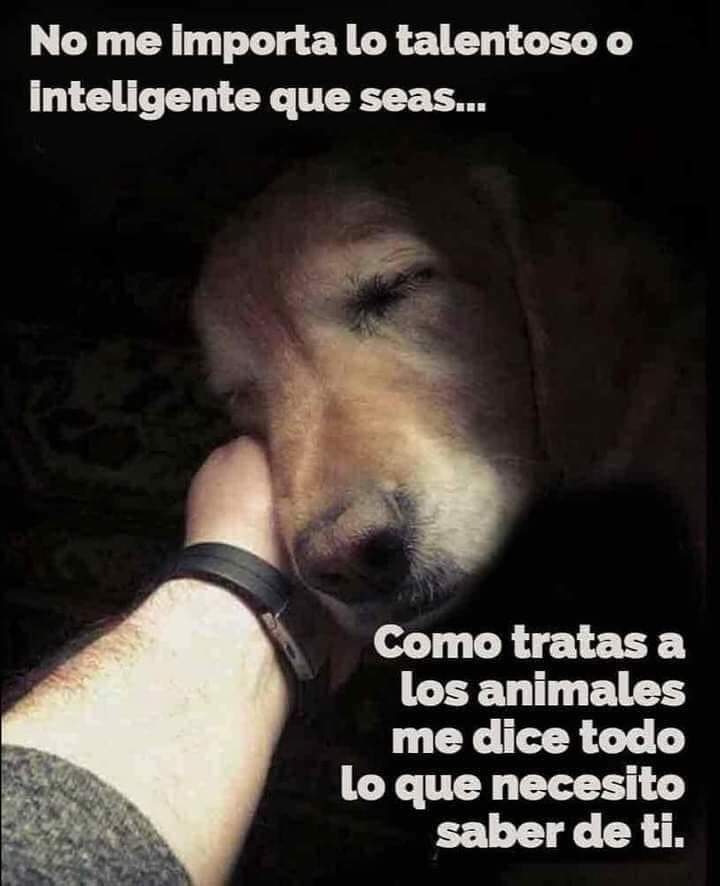 GRamirezF_D12's tweet photo. Buenas noches ✨💖 https://t.co/97oKdHzf66