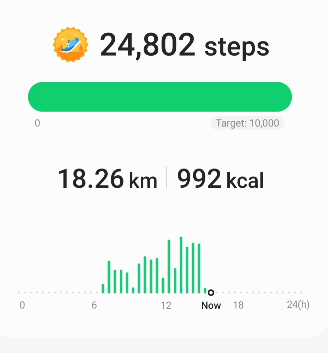 adriftcouple's tweet photo. When you are still upto day hikes of 18 kms in the wilderness and climbing 3000 feet and as a bonus getting to meet flycatchers, broadbills, niltavas - life still has much to offer!
#hiking #Hike #trek #trekking #Himalayas #birdwatching #birding #BirdsSeenIn2023 #IncredibleIndia https://t.co/cBQE2J2tJo