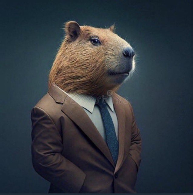 zgqtr's tweet image. i move so different, I wouldn’t expect you to understand