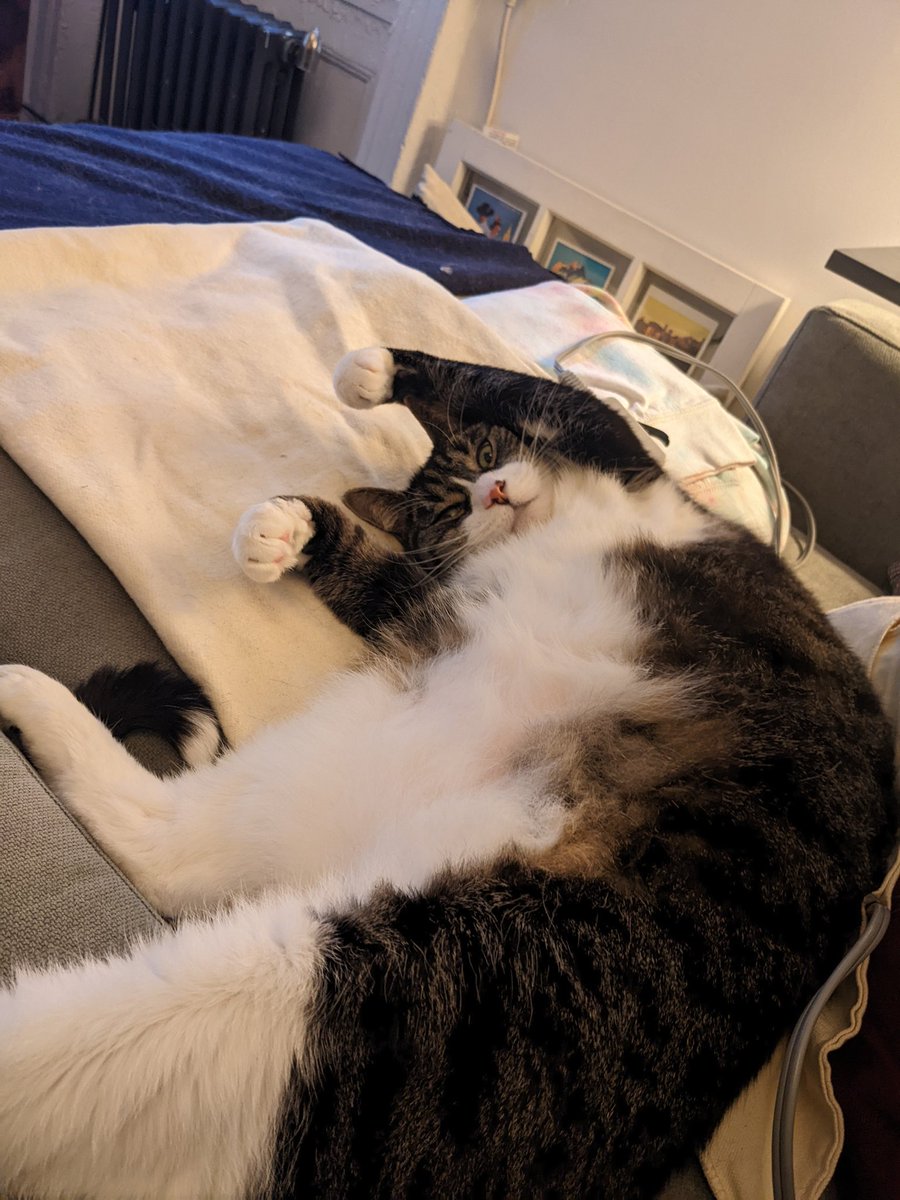 Mark Kass tweet media