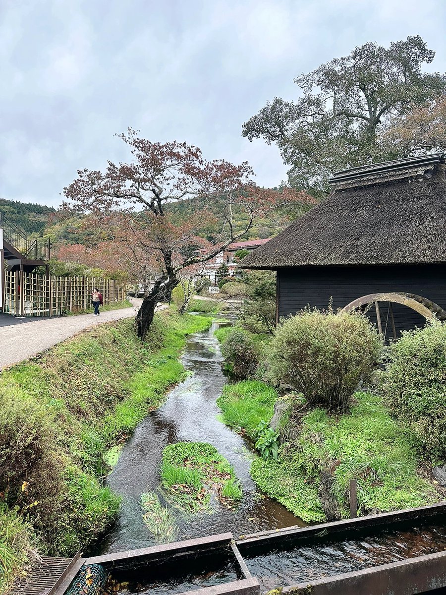 機会があれば、私は日本で余生を送るかもしれません🥰