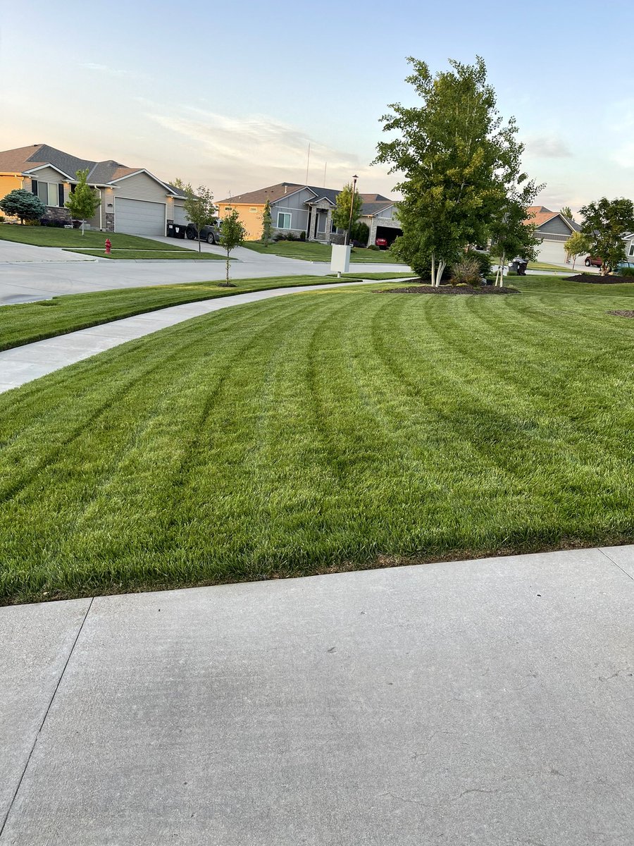 Nate Clouse tweet media