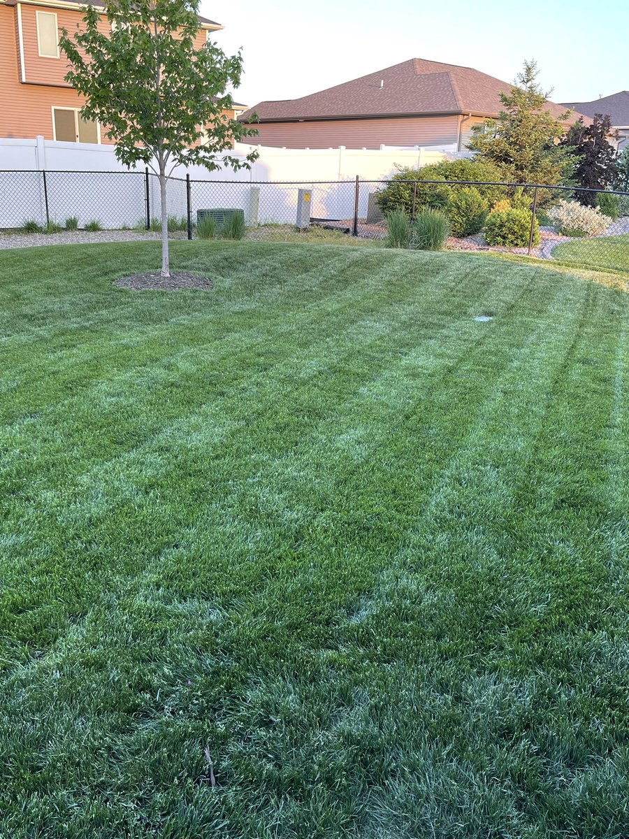 Nate Clouse tweet media