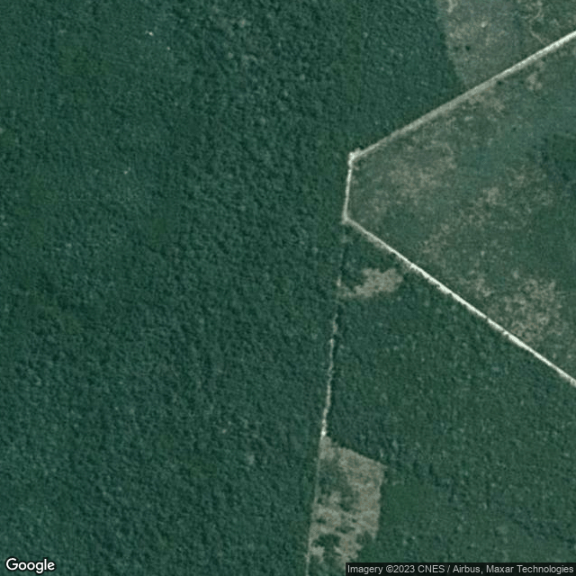 BPEarth's tweet image. #51037
São Félix do Araguaia, MT, 78670-000, Brazil
map: google.com/maps/place/-11…