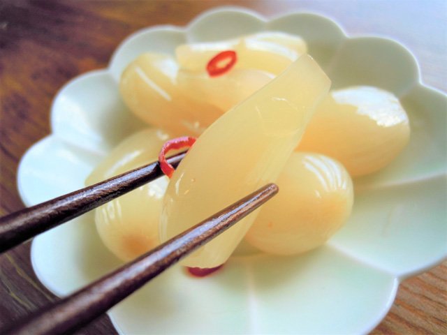 宮崎県産【無添加黒酢らっきょう】

国産らっきょうが本当に買えなくなりそうです。今のところ外国産は扱うつもりがないので、貴重な国産を今のうちにどうぞ！
8739.biz

#漬物 #つけもの #国産らっきょう #無添加 #家呑み #晩酌 #簡単 #つまみ #健康 #美容 #腸活 #谷根千 #ご飯のお供