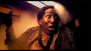 Michael Matteo Rossi tweet media