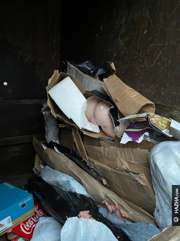 Found a #surprise for the dumpster divers today
hazha.com/yay/y44