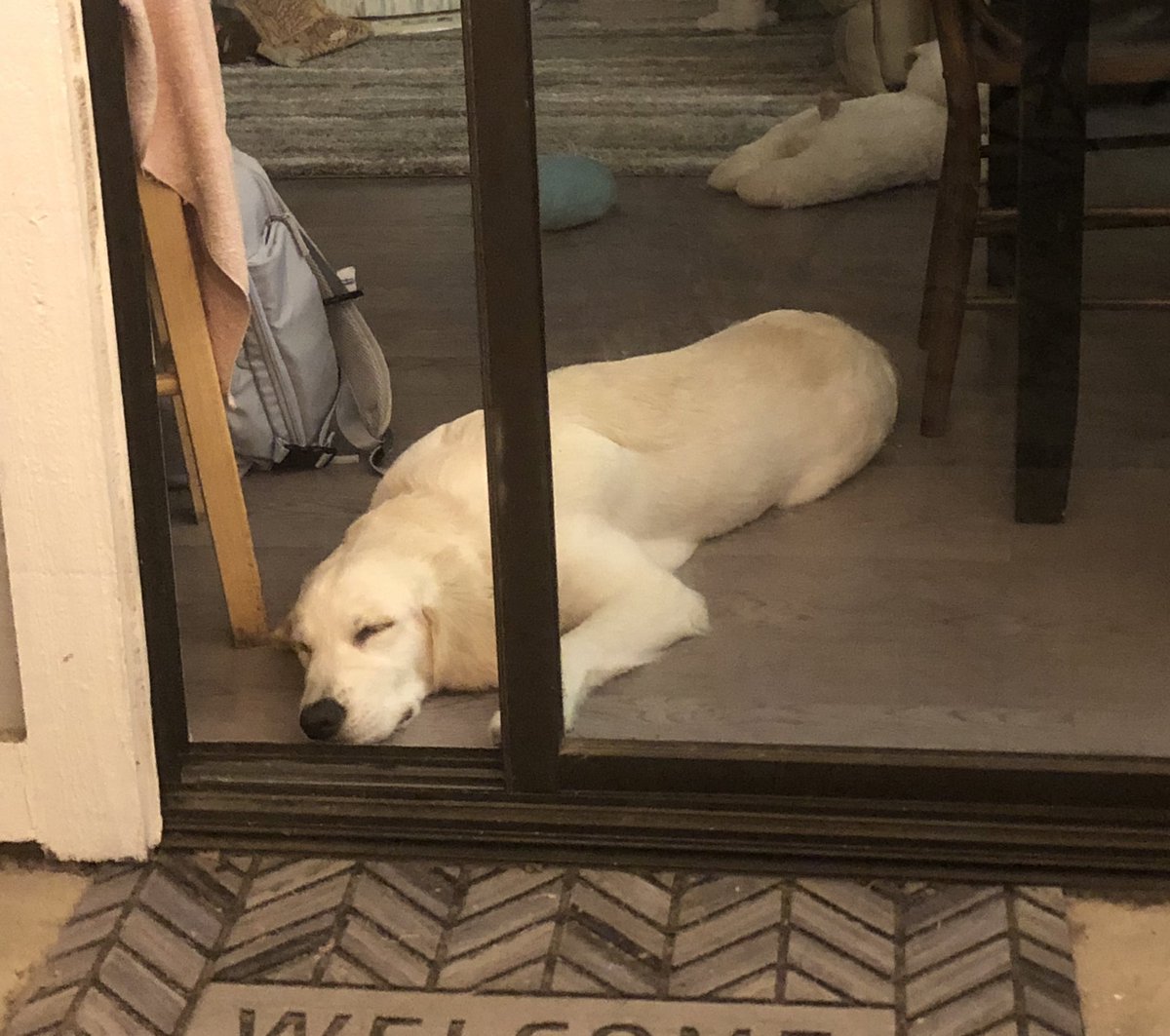 Ms. Jenni tweet media