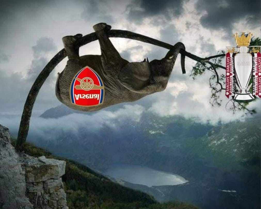 DannyCleverson's tweet photo. An elephant on the top of a tree.... https://t.co/pEITmAqWjs