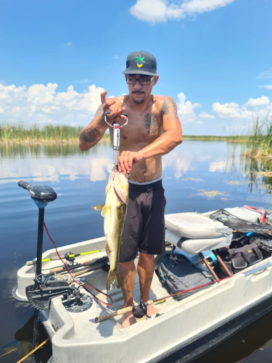 MTree420's tweet photo. Do what you love. #catchandrelease #largemouthbass #everglades https://t.co/7yoQye3rUw
