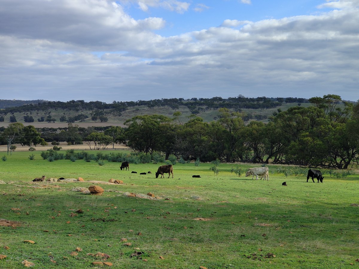 Muresk Institute tweet media