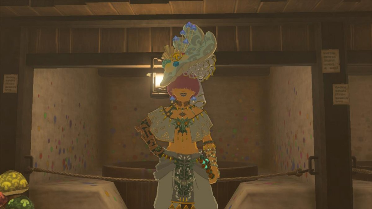 AranAvenger's tweet photo. #TearsOfTheKingdom #Zelda #NintendoSwitch https://t.co/WClPA27daB
