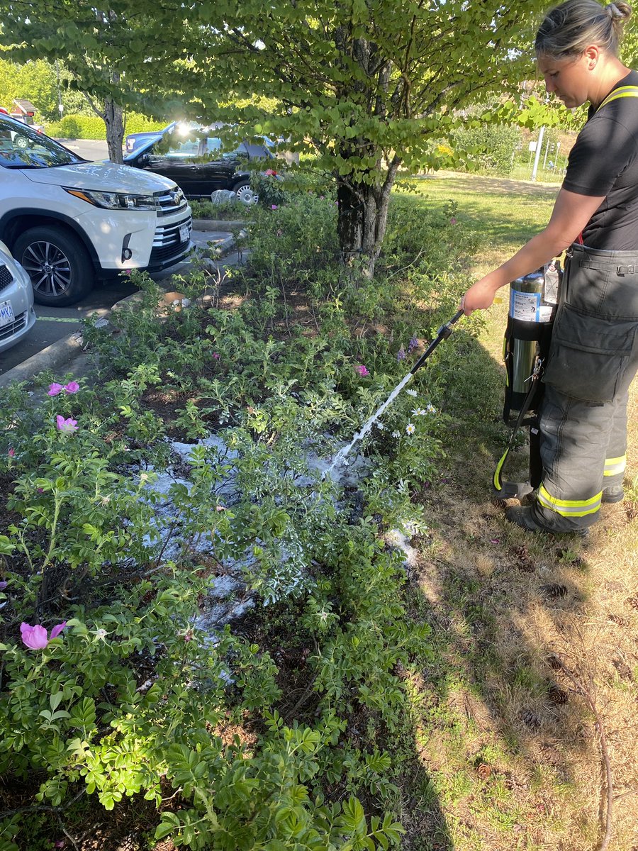 LangfordFire's tweet photo. 7 days 7 preventable fires Langford has attended. Each fire was the result of improperly discarded cigarette butts and or smoking type material. One of which was on a balcony that could have resulted in the loss of multiple townhomes. https://t.co/6nKlf5A6yJ
