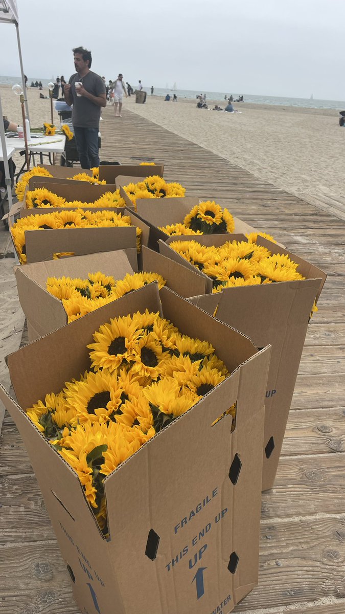 LadyRocketSpace's tweet photo. For #BeeOrNotToBe SantaMonica Beach @CopernicSpace @LadyRocket #WorldBeeDay2023
And here is your #passport in #Space link - for the first time you can share in Space #revenues and acquire rare Space asset. And help bees!
https://t.co/tHQmoVlqZj https://t.co/7wVyxZfCHt
