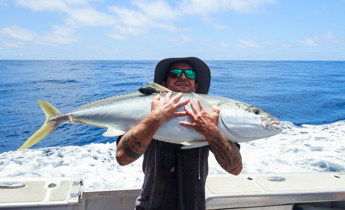 SIMS_Australia's tweet photo. Have you heard of #ProjectKingfish?
Over the past 18 months, SIMS researchers have launched a major project working with recreational anglers to understand the movements and spawning habitats of the invaluable yellowtail kingfish off eastern Australia.
https://t.co/QC8jvvIxlD https://t.co/74cjblJZyP