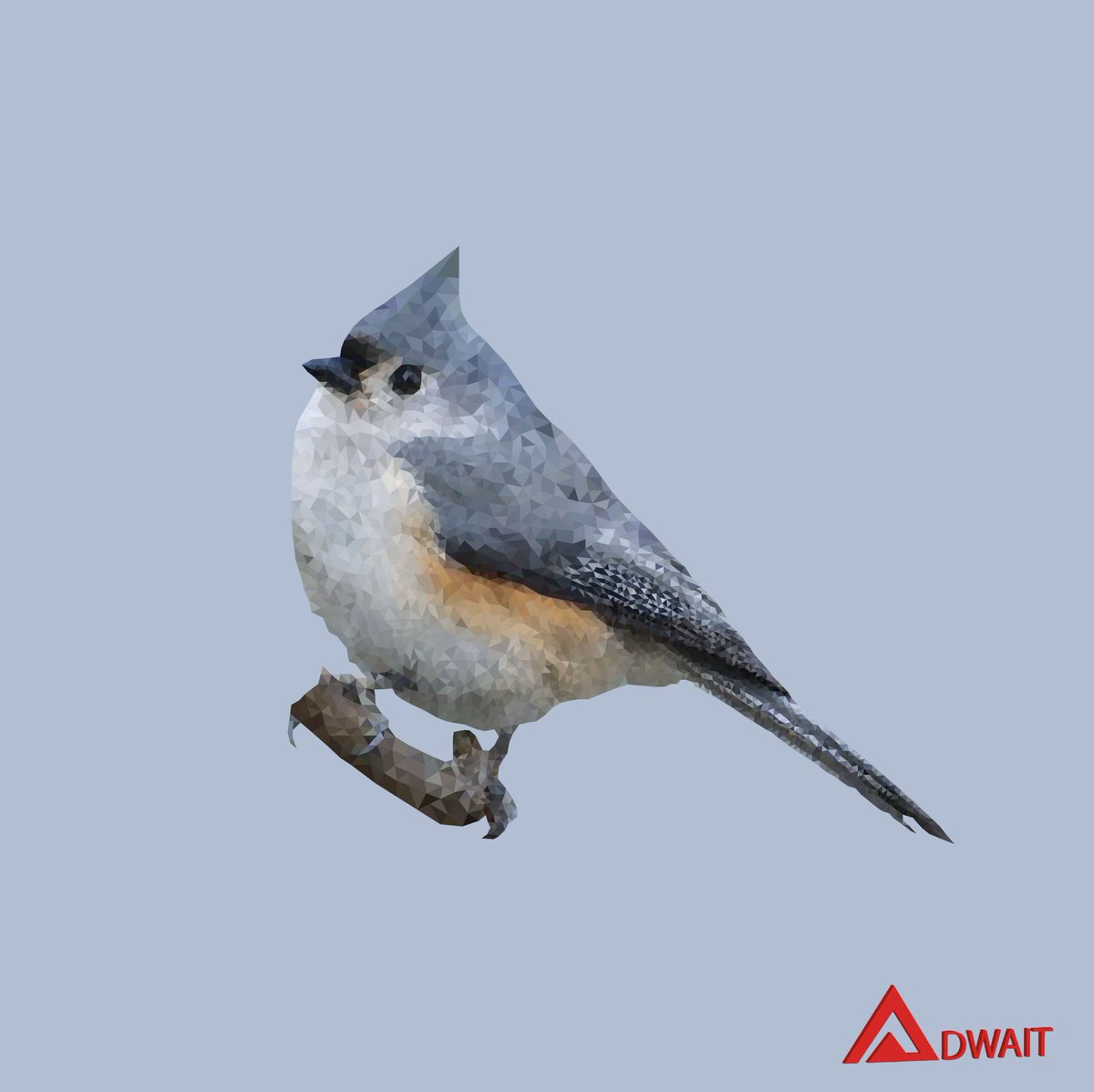 AdwaitL's tweet photo. Beautiful bird in Lowpoly Art 🐦🐦🐦
#lowpoly #lowpolyart #visualart #art #digitalart #DigitalArtist https://t.co/ZV7rqerJQT