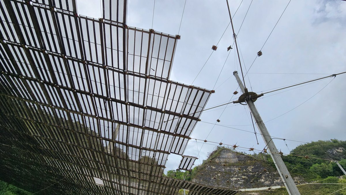 Tracy Becker tweet media