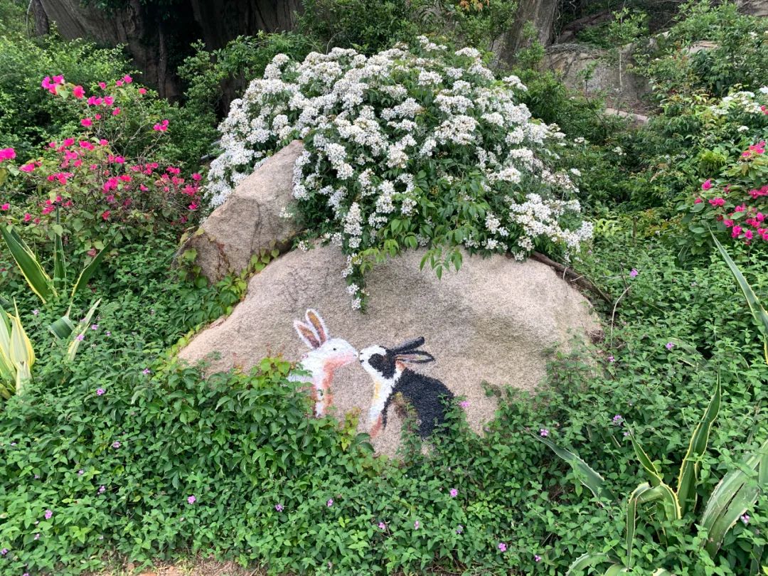 VisitXiamen's tweet photo. It seems that some lovely rock paintings have suddenly appeared along Forest & Sea Line of Xiamen Mountains-to-Sea Trail. Take a stroll and see how many patterns you can find. When you encounter them, remember to take a photo and take good care of them. 😏 #VisitXiamen #WaveDiary https://t.co/jLp8Dd4zbb