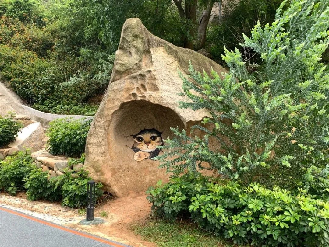 It seems that some lovely rock paintings have suddenly appeared along Forest & Sea Line of Xiamen Mountains-to-Sea Trail. Take a stroll and see how many patterns you can find. When you encounter them, remember to take a photo and take good care of them. 😏 #VisitXiamen #WaveDiary