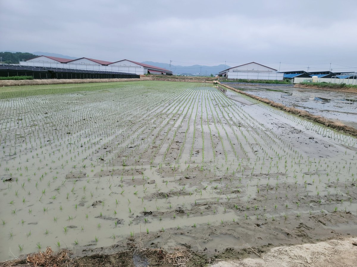 1년농사 시작이네요~주말 아부지 일손 도와 드리기~