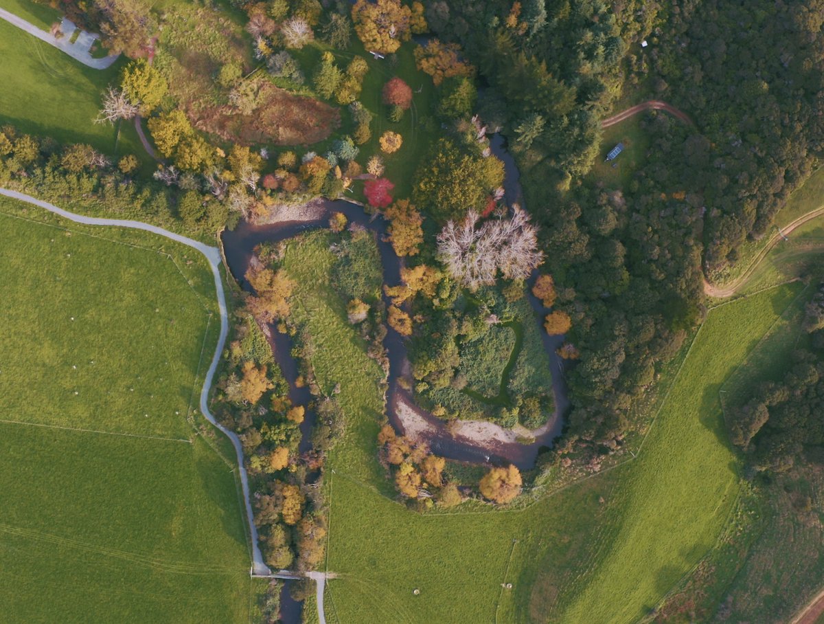 Mangaroa Farms tweet media