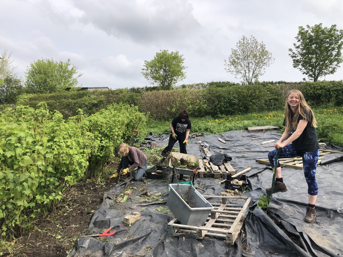 TheFoodWorksSHF's tweet photo. We had a really amazingly productive day at the farm 🌱

Clearing the weeds around the currants, mulching them and sewing leeks! 

Well done team! 💚

#volunteering #EatBetter #FoodStrategy #FoodWorks #foodwaste #volunteer #Sheffield #belliesnotbins #teamwork https://t.co/P74JYYqVm1