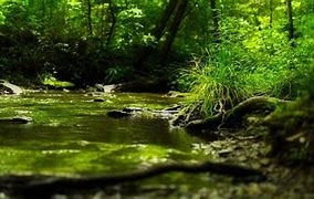 BrainforestG's tweet photo. 📔 Agenda Environnemental
✅ Lundi 22 Mai 2023 : JOURNÉE MONDIALE DE LA BIODIVERSITÉ
S’engager pour défendre la biodiversité c’est s’engager pour protéger la vie.
#Brainforest
#biodiversité
#22Mai https://t.co/S99Uwd0Zsc