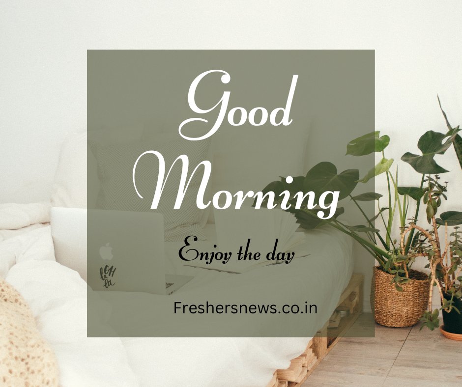 GOOD MORNING 
#freshersnews #morningvibes #morningworks #enjoyyourday #haveagreatday