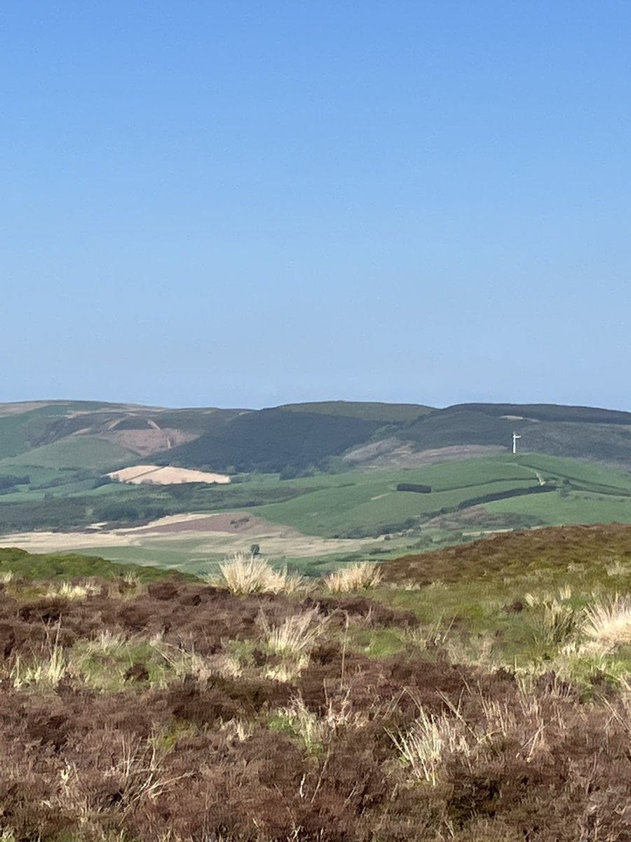 trudydavies1964's tweet photo. Beautiful weekend weather in Mid Wales, could see for miles on top of the hills on the Radnorshire / Montgomeryshire border 
#Threemilesadayinmay 
#RBLI #TommyClub 🌺 
#RoyalBritishLegionindustries #RBL 
#RBLWS #lestweforget https://t.co/WH7lhCZZWq