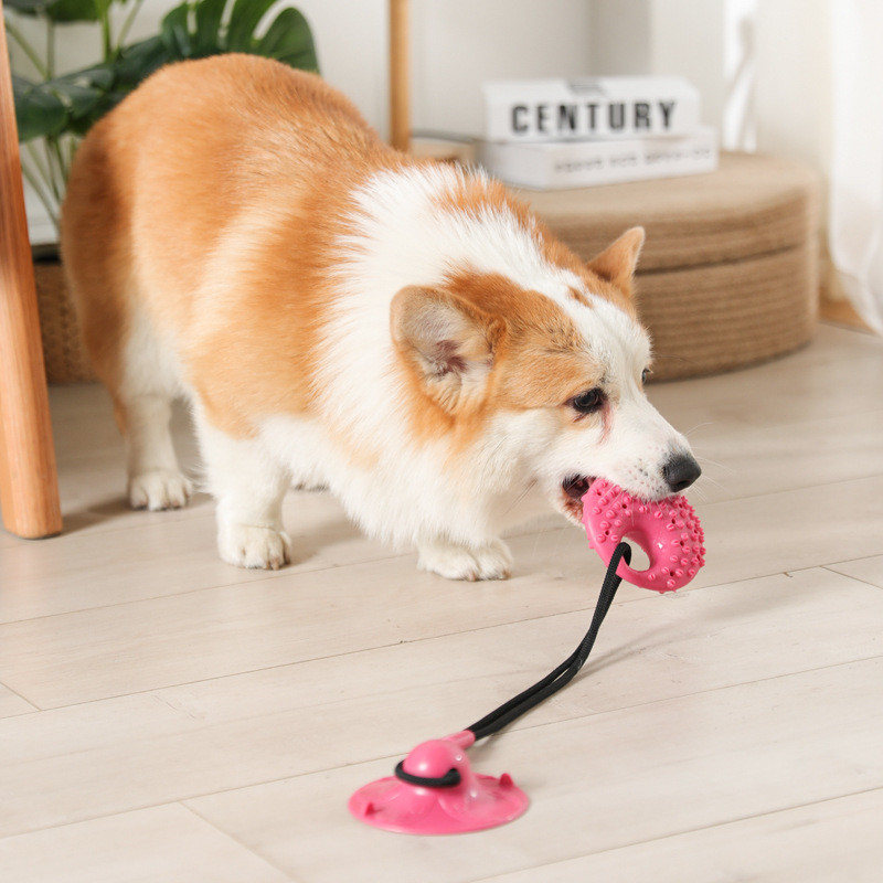 Ooabuy_Official's tweet photo. Introducing the Dog Toys Silicon Suction Cup Tug Interactive Dog Ball Toy!
Keep your furry friend entertained and healthy with our interactive Dog Toys Silicon Suction Cup Tug.
#dropshipping #winningproducts #shippingservice #shopifyproducts #dropshippingsuplliers https://t.co/vLT1dGCYFB