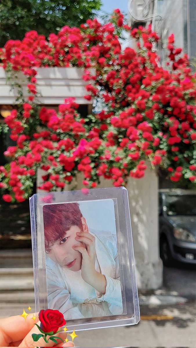 dontmakemeblue0's tweet photo. 장미의 계절🌹 https://t.co/Pa1ogXfqdo